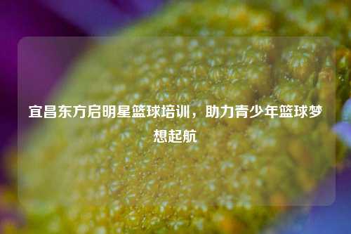 宜昌东方启明星篮球培训，助力青少年篮球梦想起航